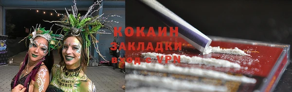 дживик Снежинск