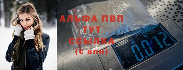 прущие грибы Ростов
