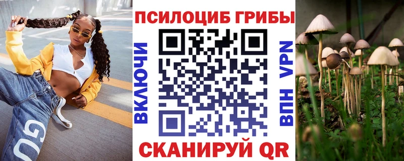 Галлюциногенные грибы Psilocybe  Шадринск 