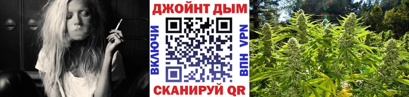 продажа наркотиков  Шадринск  Канабис сатива 